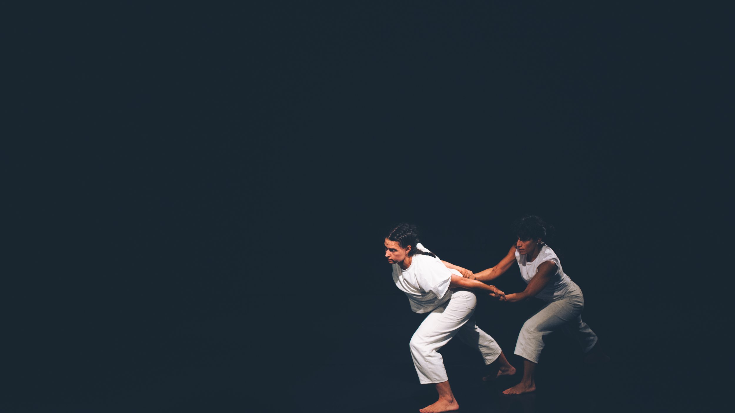 preobračanja-4UKREP-PTLphotoKatarinaKolenc (21).JPG