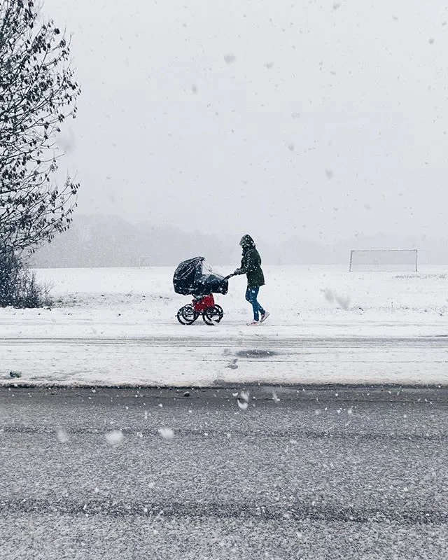 The day it snowed // #utterslevmose #shotoniphone #shotoniphonexs