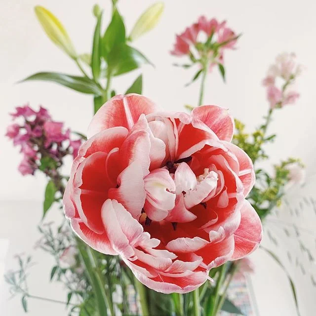 Power of flowers #💐