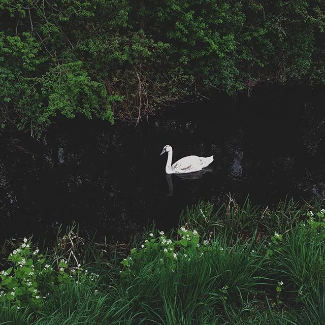 Fairy tale in the neighborhood