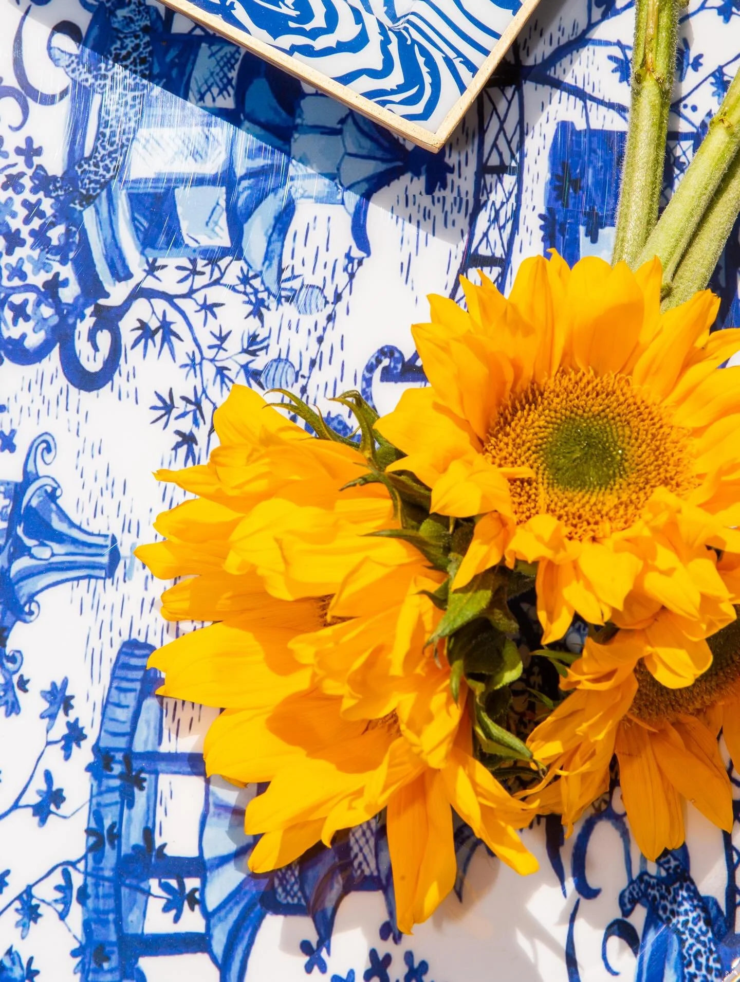 🌻
📷 @jayes_studio 
Styling @vividhuehome 
.
.
.
.
.
.
.
#catalog #catalogphotoshoot 
#tabletopdecor #jayesstudio #tabledecor #mindfulmotionphoto #freelancingfemales #ctphotographer #connecticutliving #spring #connecticutphotographer #fairfieldcount