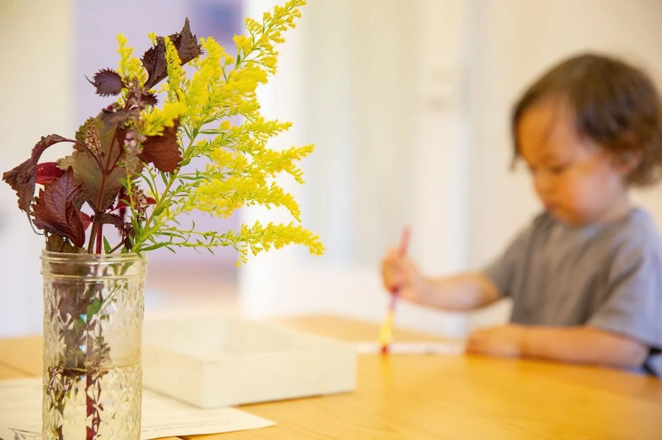 Painting with botanical ink 💐
📷 @gracefarmsct 
.
.
.
#mindfulmotionphoto #fallevents #gracefarms #newcanaan #fairfieldcounty #ctliving #naturelovers #beautyinnature #ctphotographer #freelancingfemales #connecticutphotographer #onlyinconnecticut #on