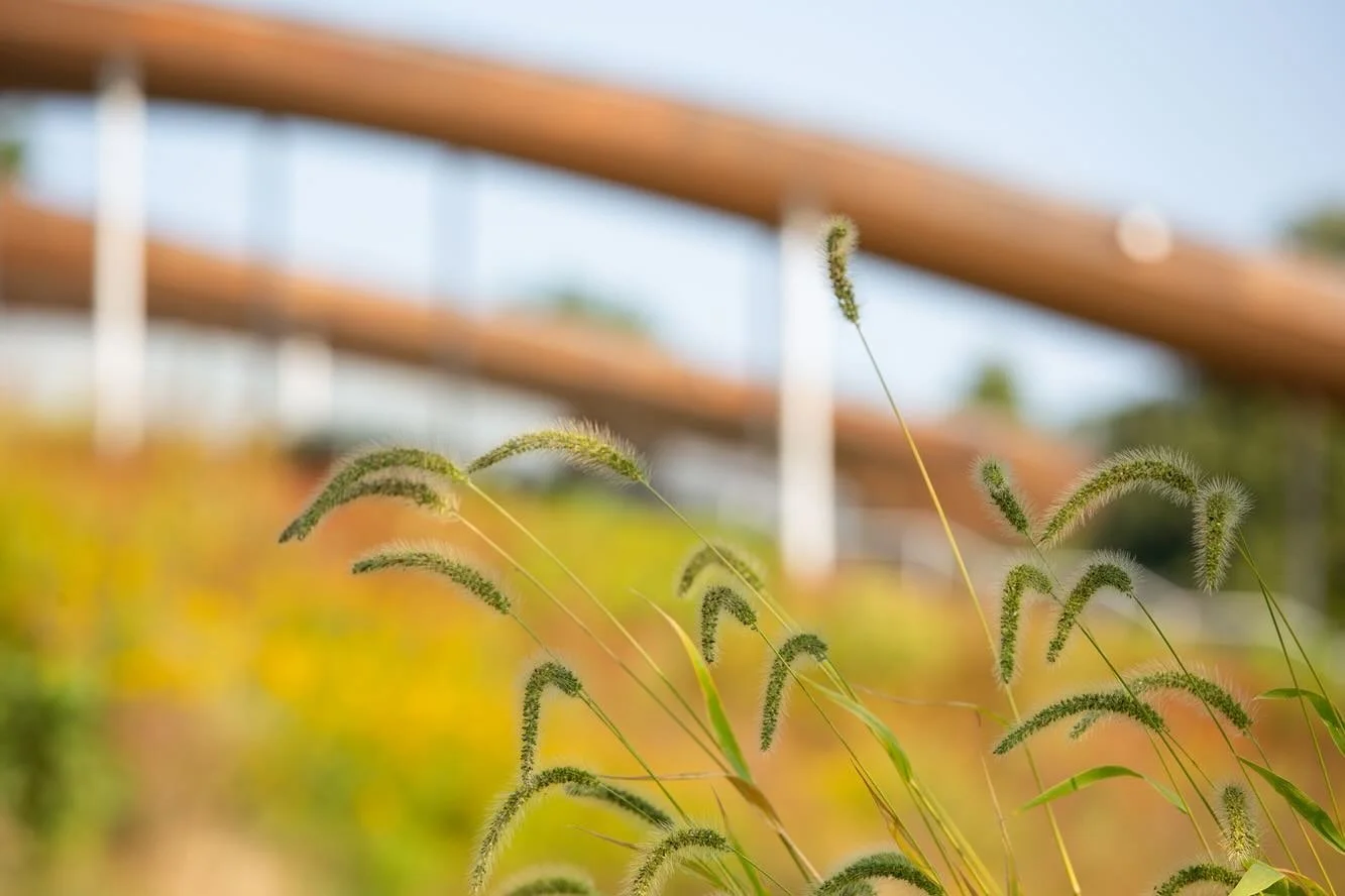 Wildflower Community Craft 💐

📷 @gracefarmsct 
.
.
.
.

.
#mindfulmotionphoto #fallevents #gracefarms #newcanaan #fairfieldcounty #ctliving #naturelovers #beautyinnature #ctphotographer #freelancingfemales #connecticutphotographer #onlyinconnecticu