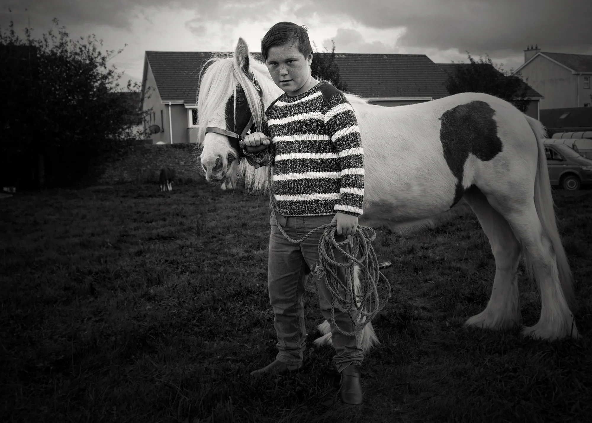 boyandhorse.jpg