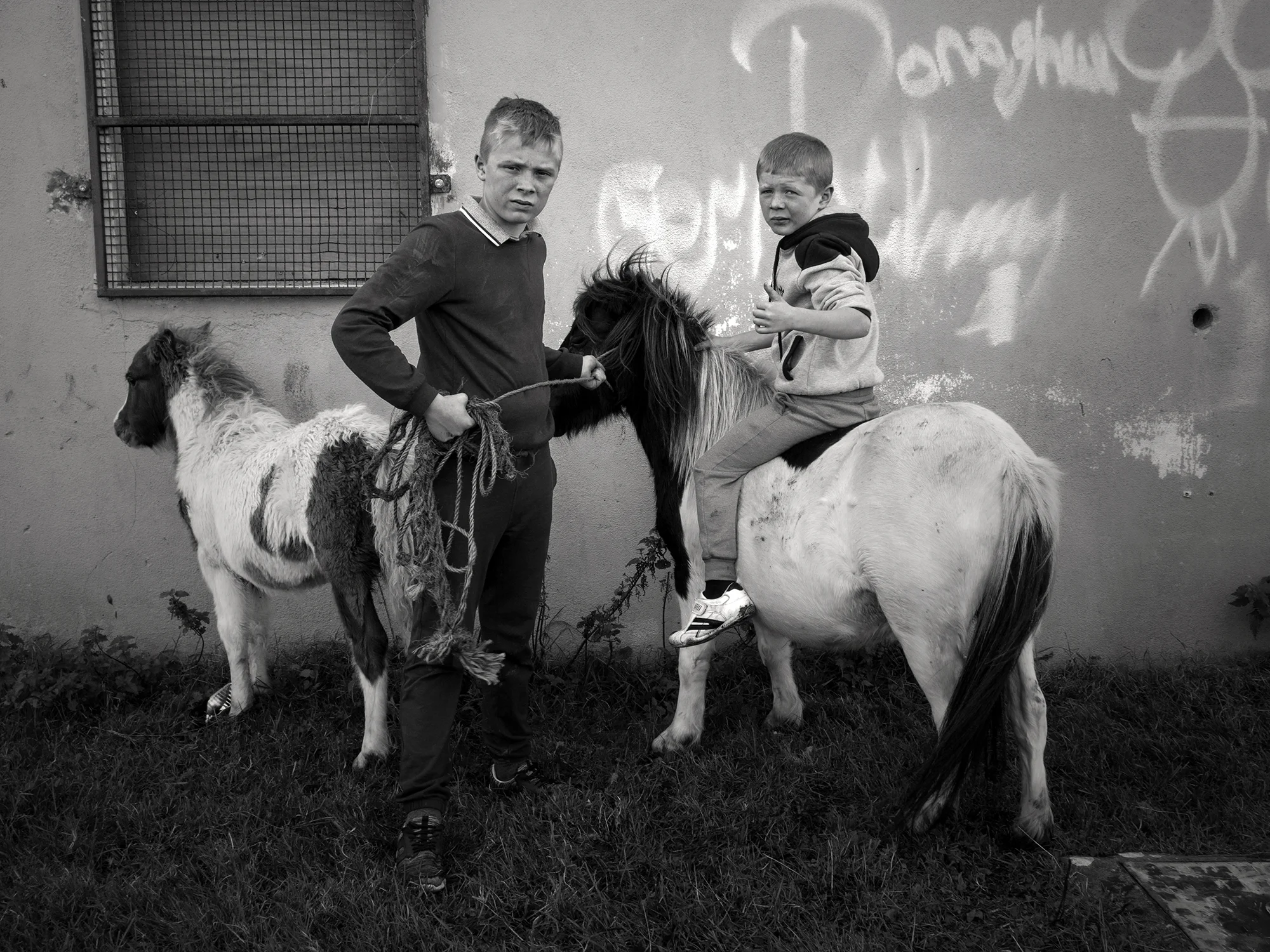 boyswithpony.jpg