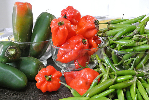 mp recipe story- chilies medium.jpg