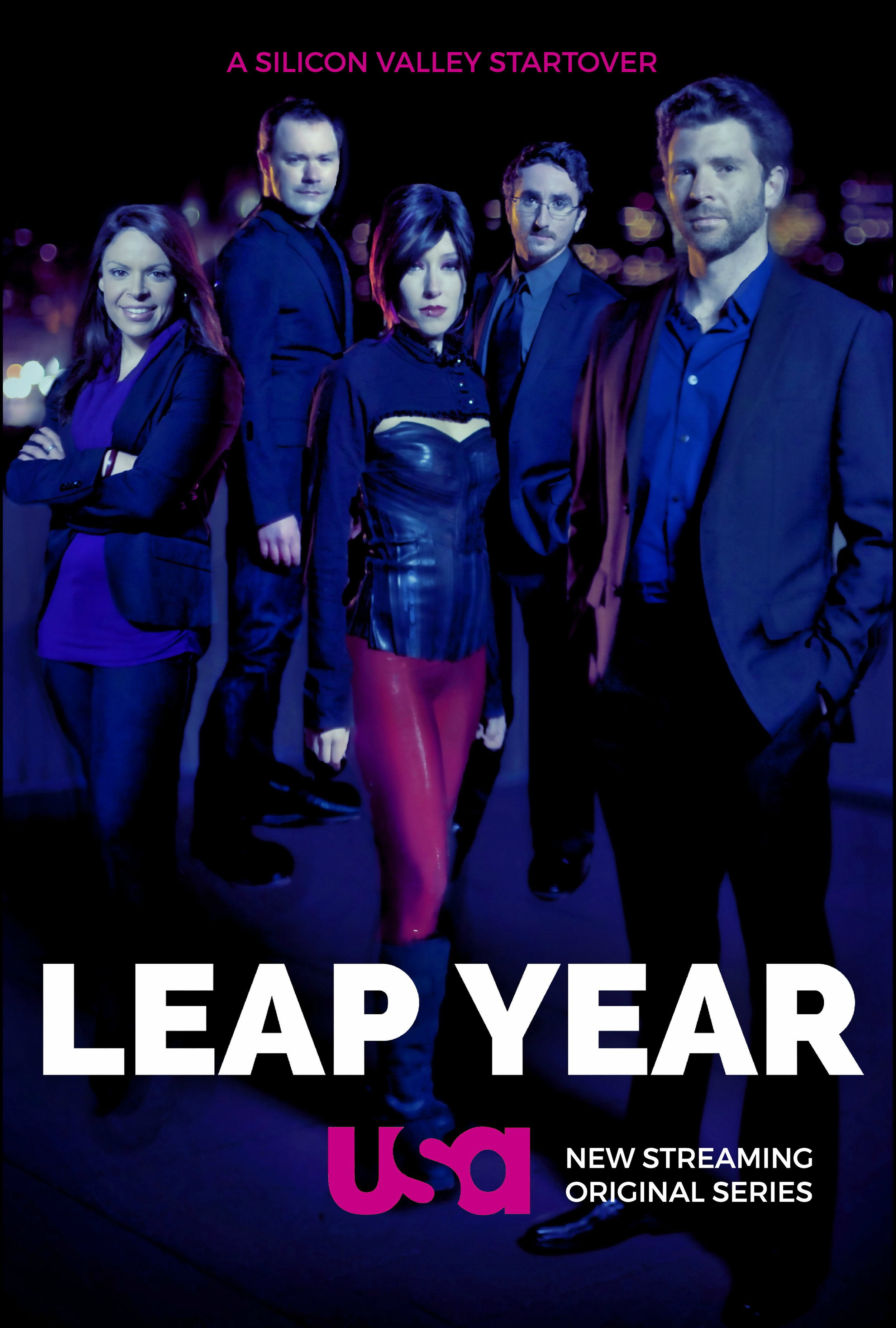 LEAP YEAR-silicon valley poster-imdb.jpg