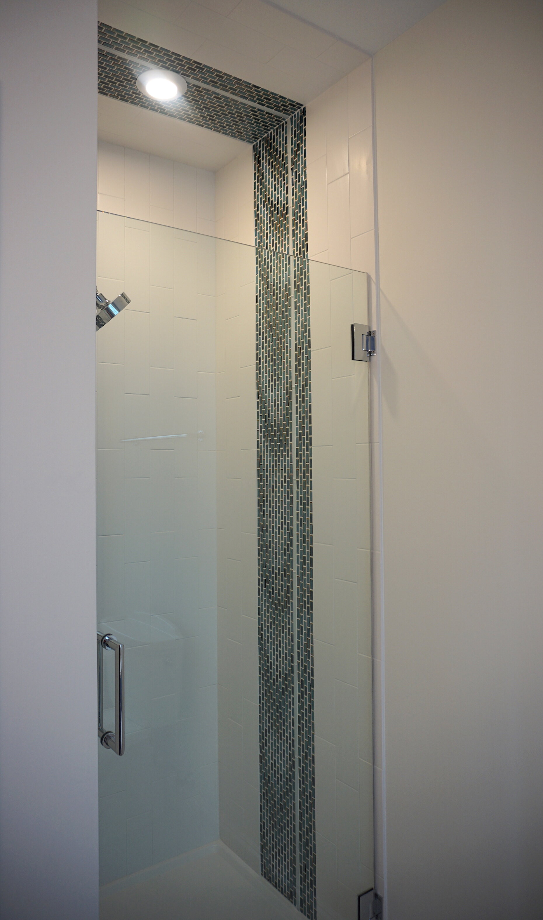 TDD Domilici Phillips Pool House Bath shower website.jpeg