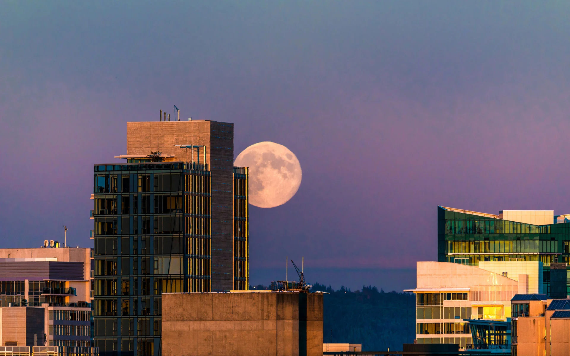 Rick-Hulbert-City-Form-05.jpg