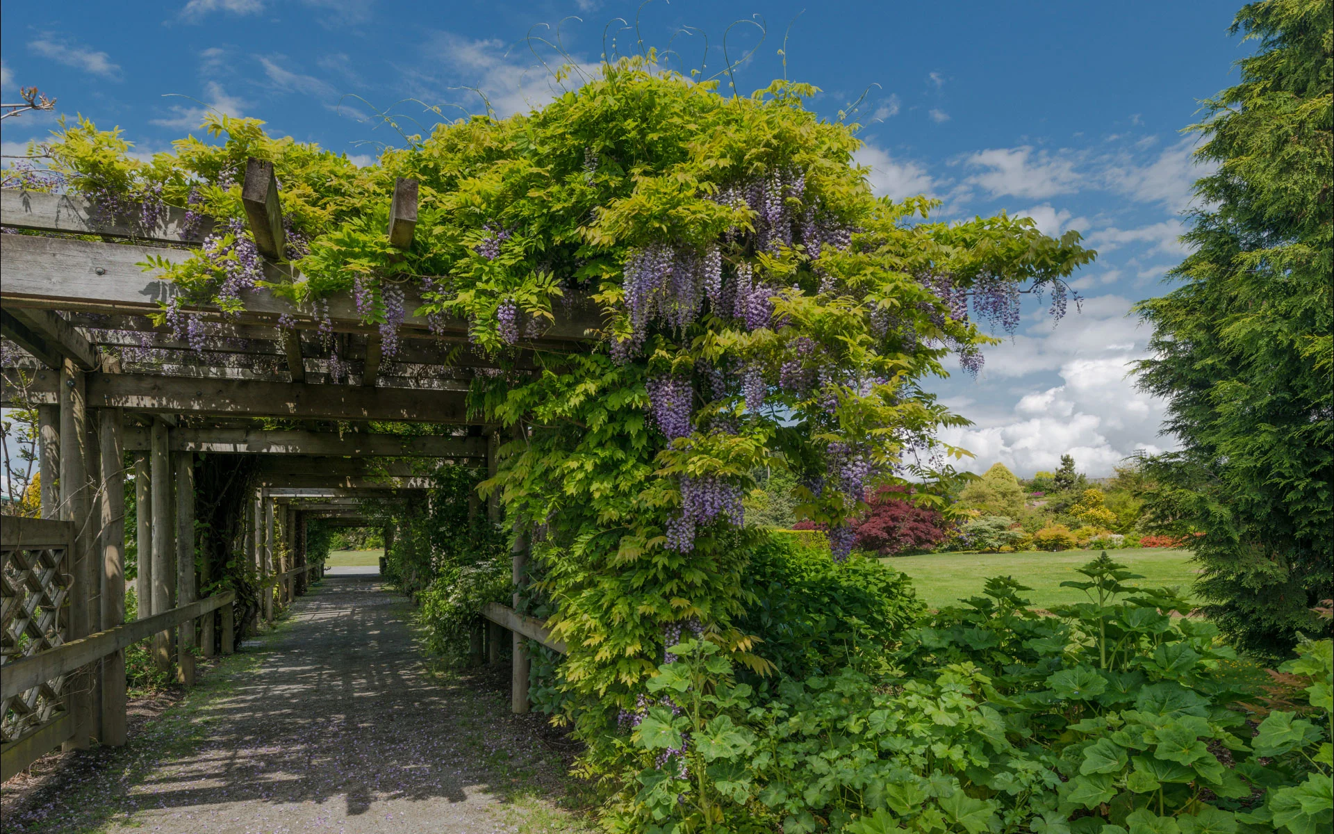 Rick-Hulbert-Gardens-01.jpg