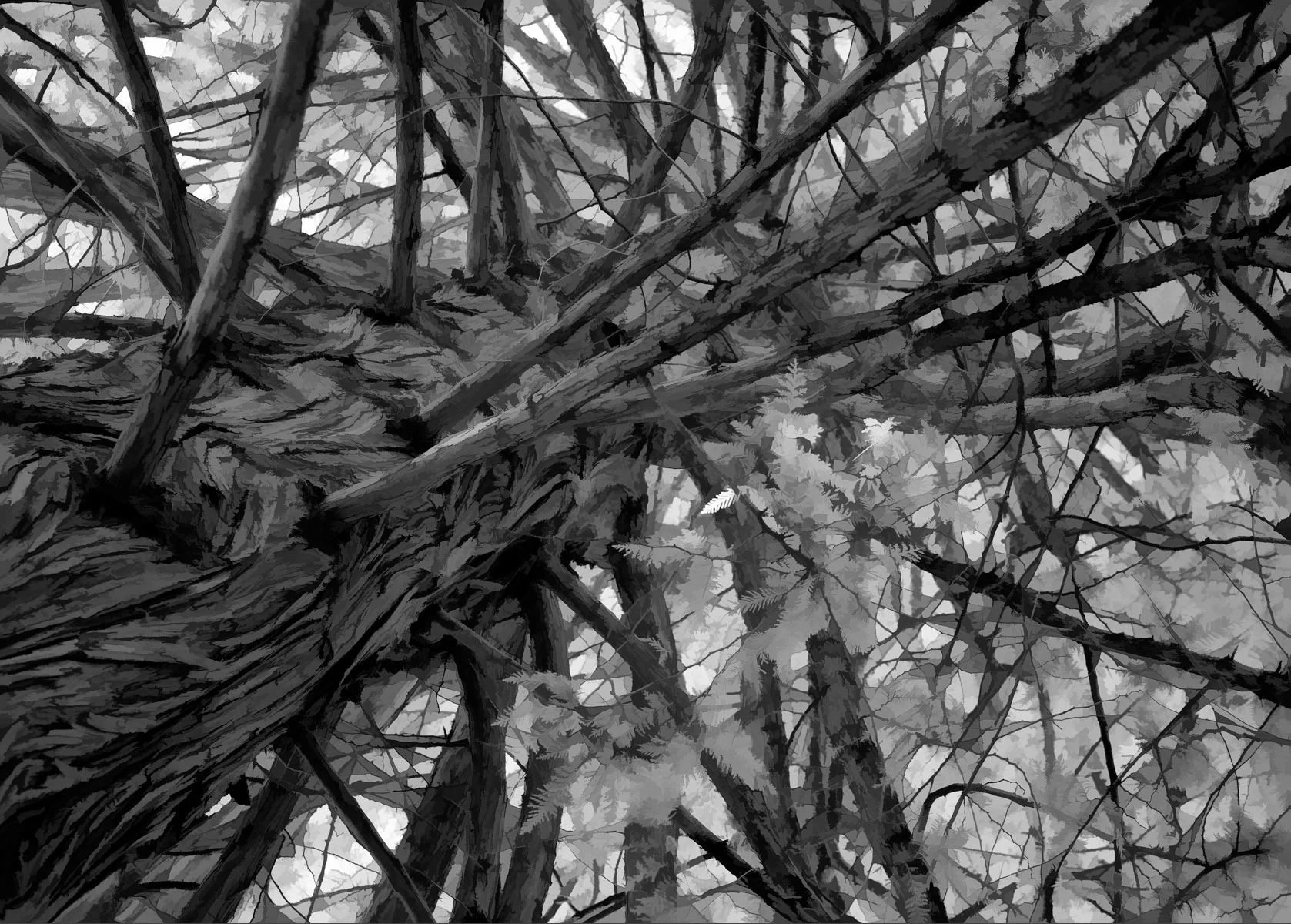 Rick-Hulbert-Infrared-05.jpg