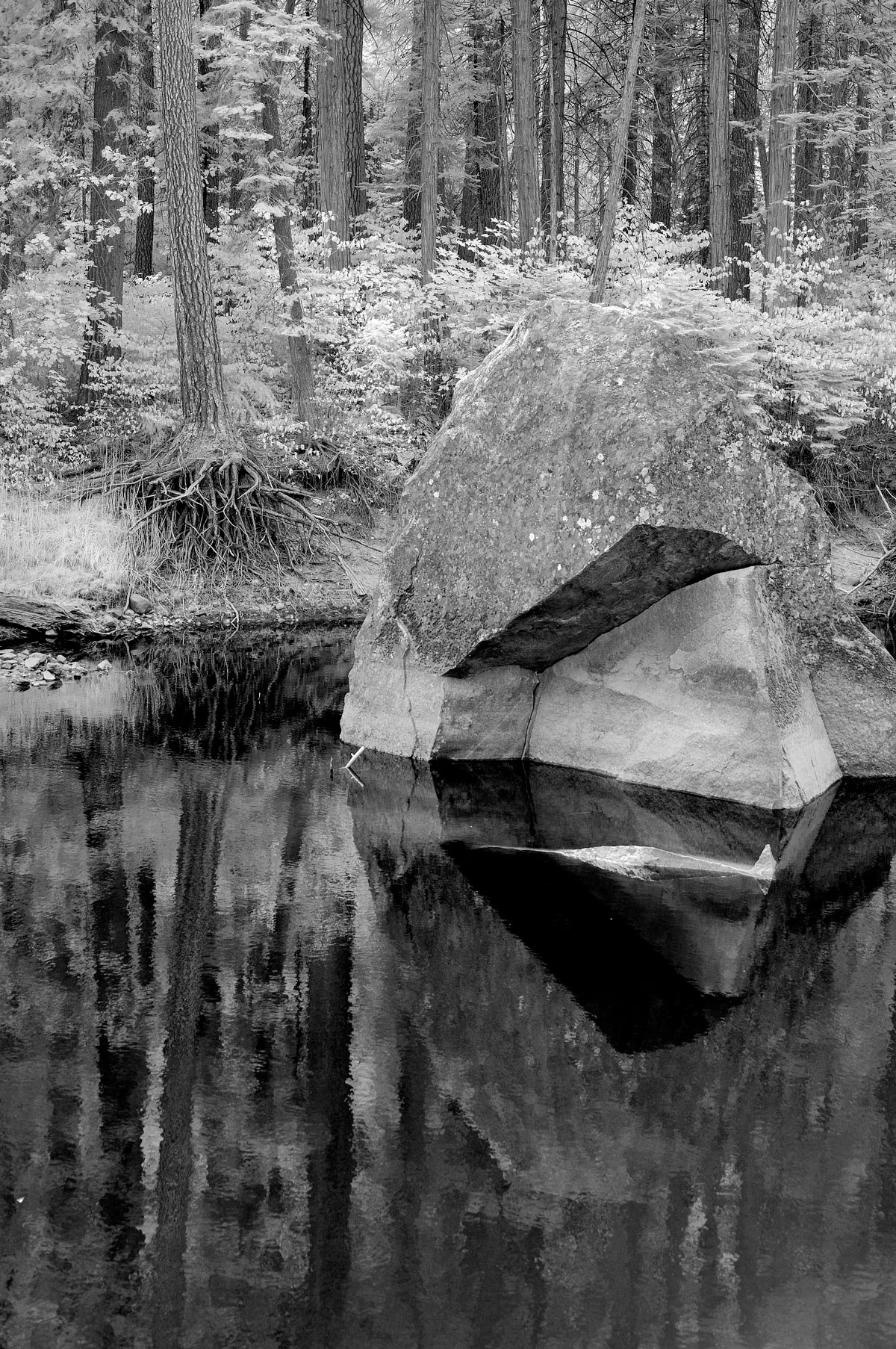 Rick-Hulbert-Infrared-06.jpg