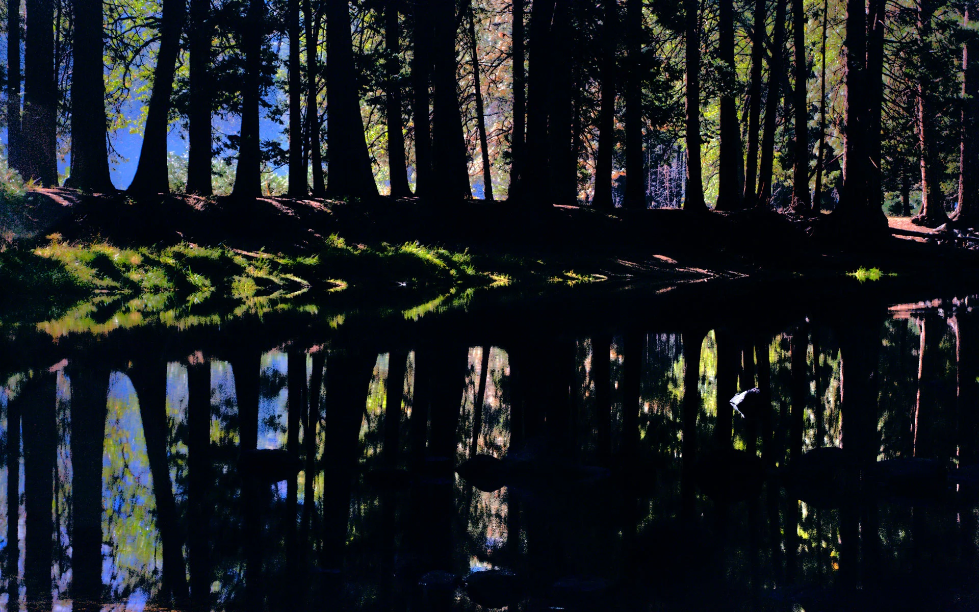 Rick-Hulbert-Interpretive-05.jpg