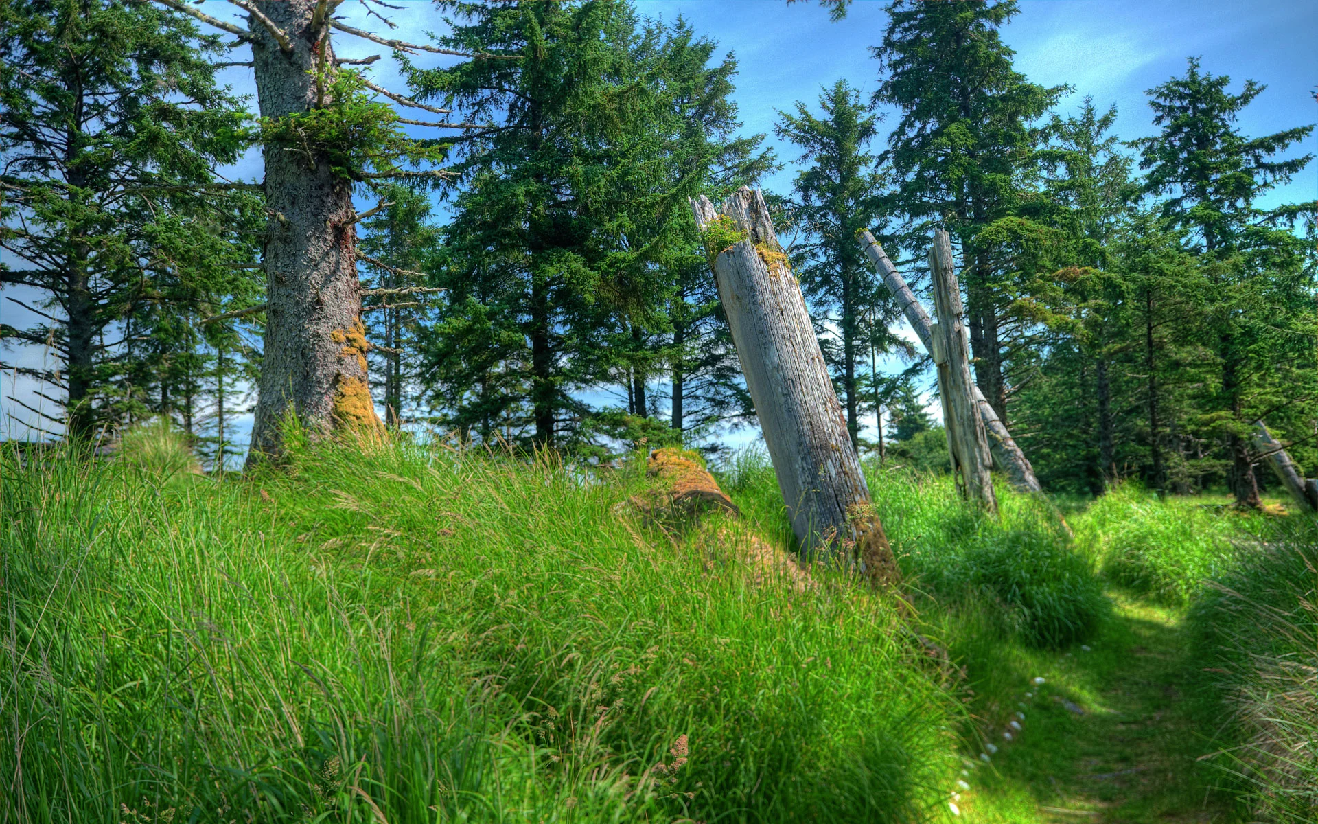 Rick-Hulbert-Landscapes-04.jpg