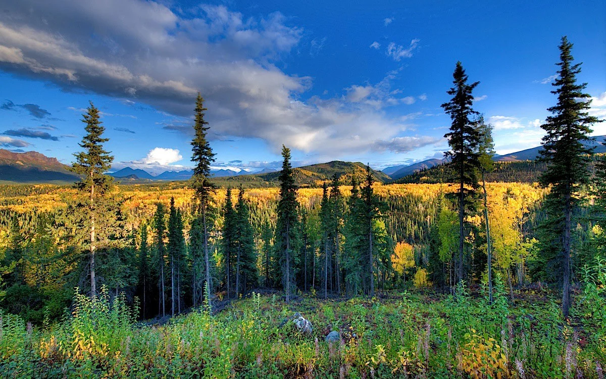 Rick-Hulbert-Landscapes-07.jpg
