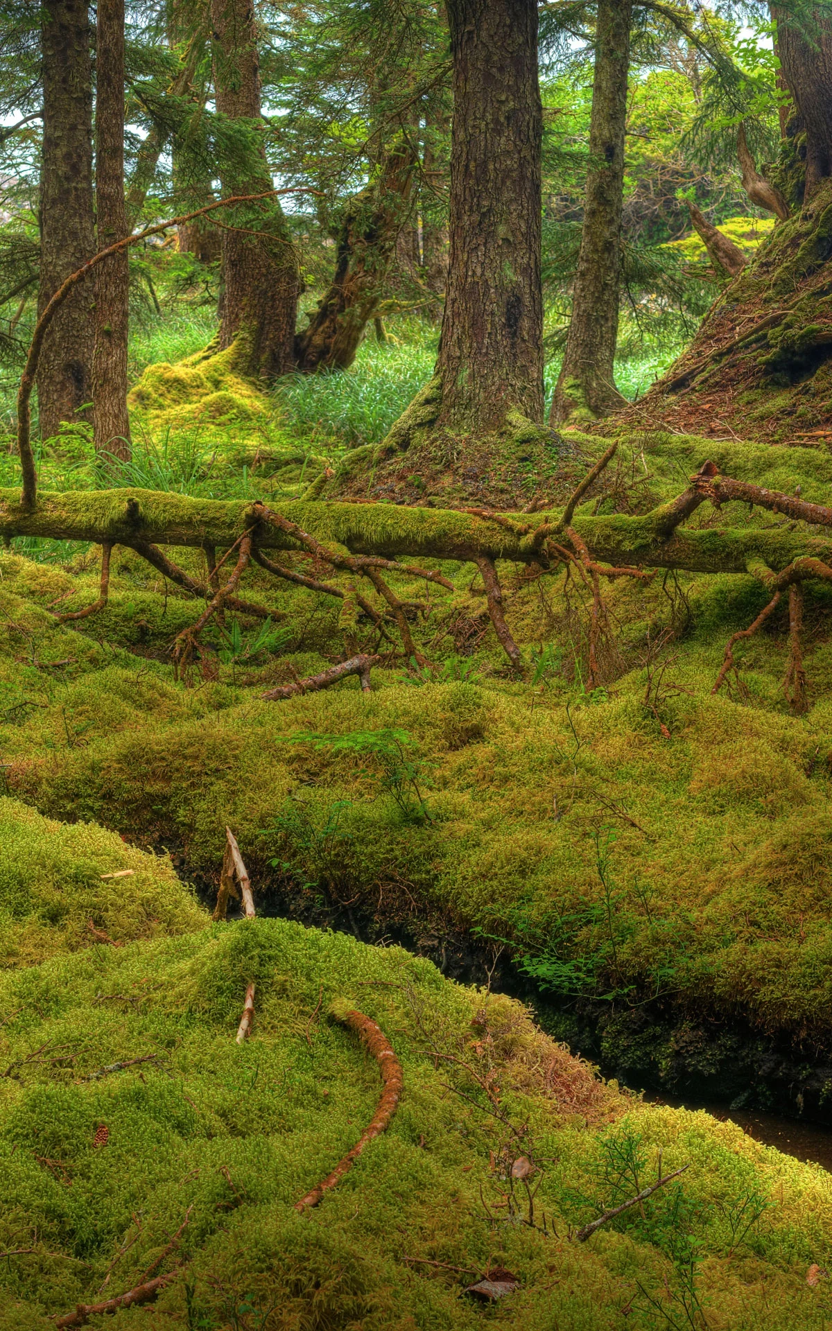 Rick-Hulbert-Landscapes-05.jpg