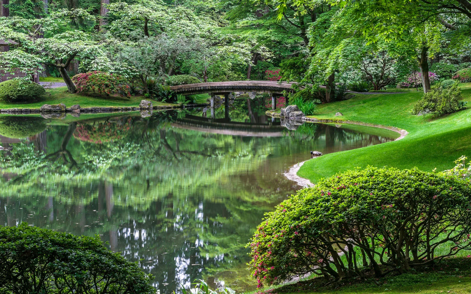 Rick-Hulbert-Gardens-03.jpg