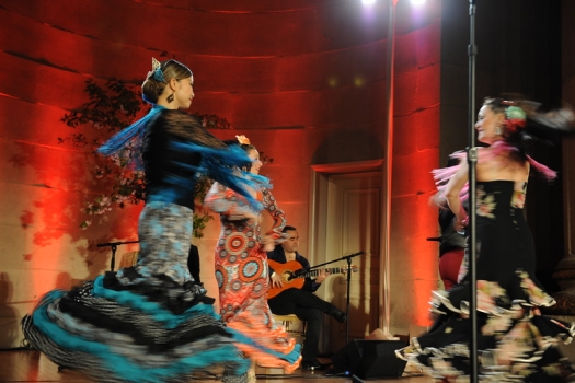 Flamenco Aparicio Dance Company
