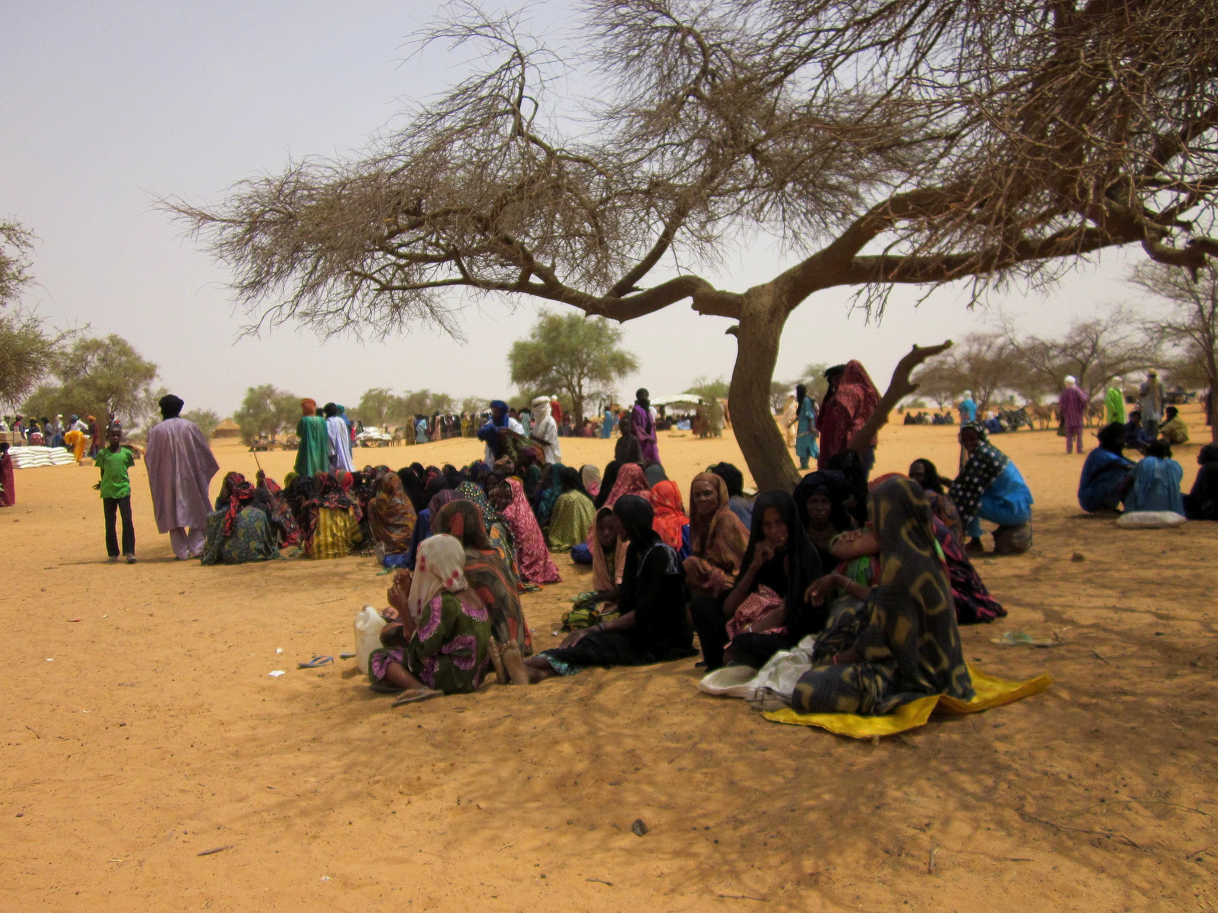 Food Security and Displacement in a Warming World