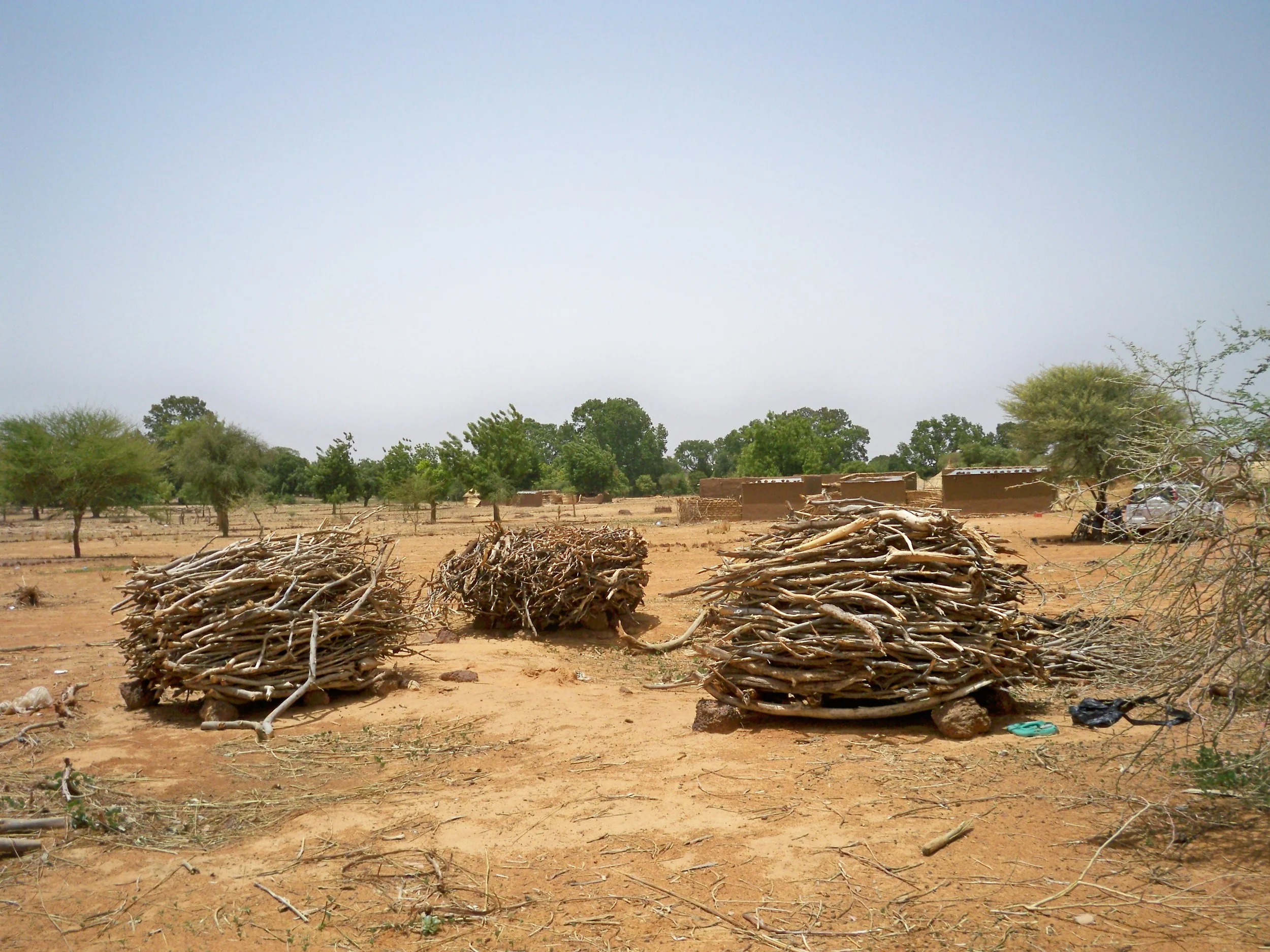 Confronting the Impacts of Climate Change