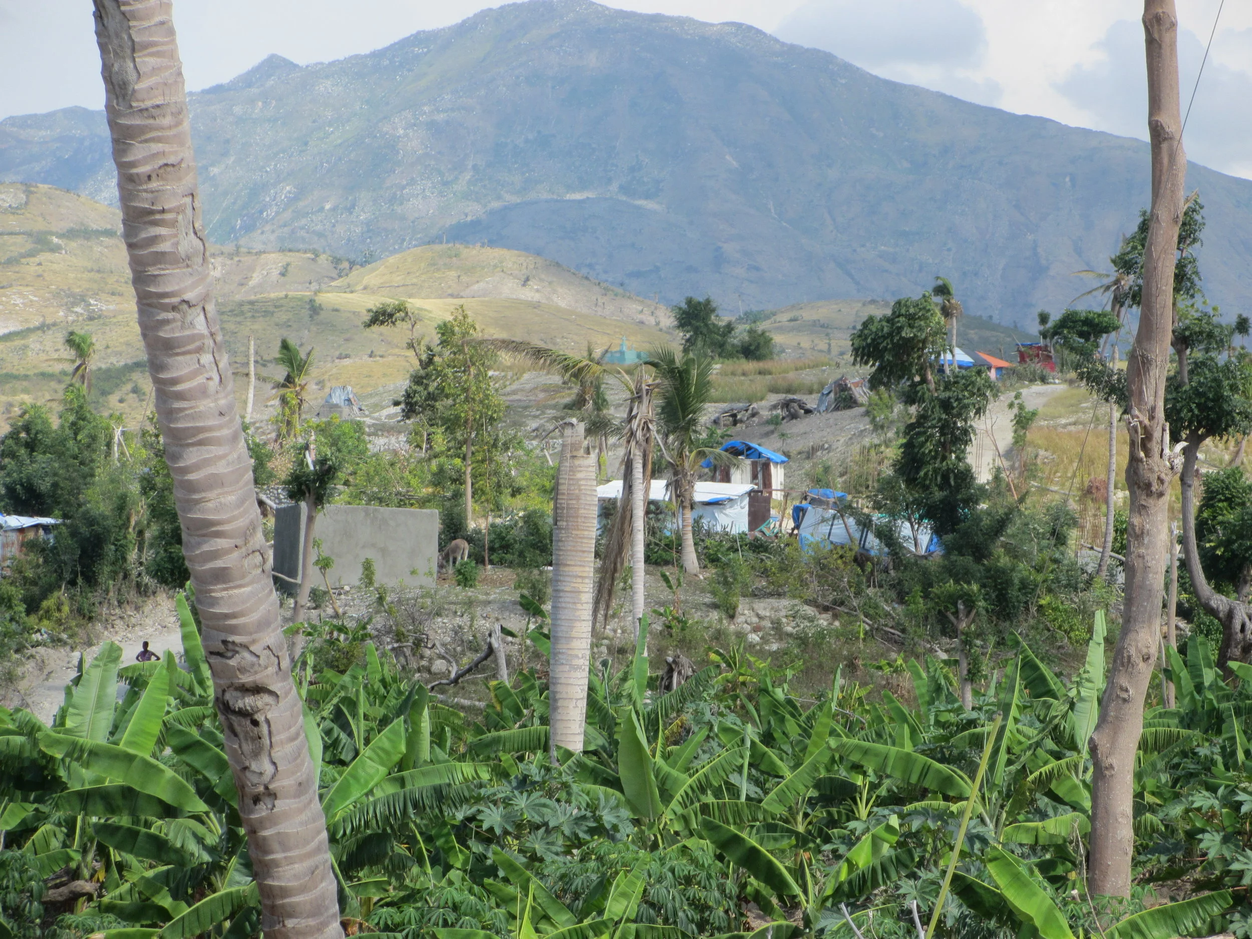 Haiti Following Hurricane Matthew: A Rough Road Ahead