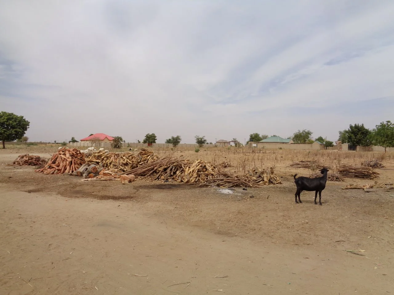 NGO Letter to Congress on Supplemental Funding to Respond to Famines