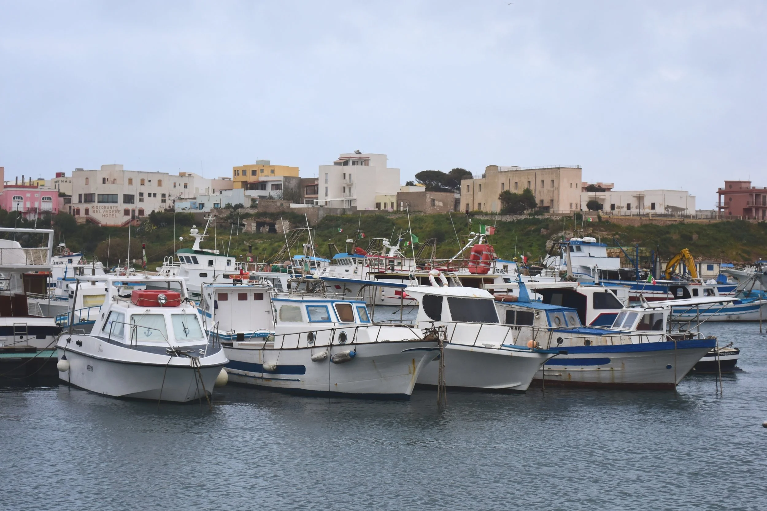 Update from the Mediterranean
