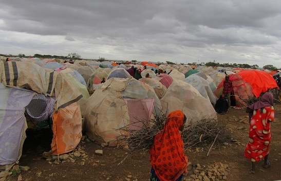 Hundreds of Thousands of Drought-Impacted Somalis Flee to Cities