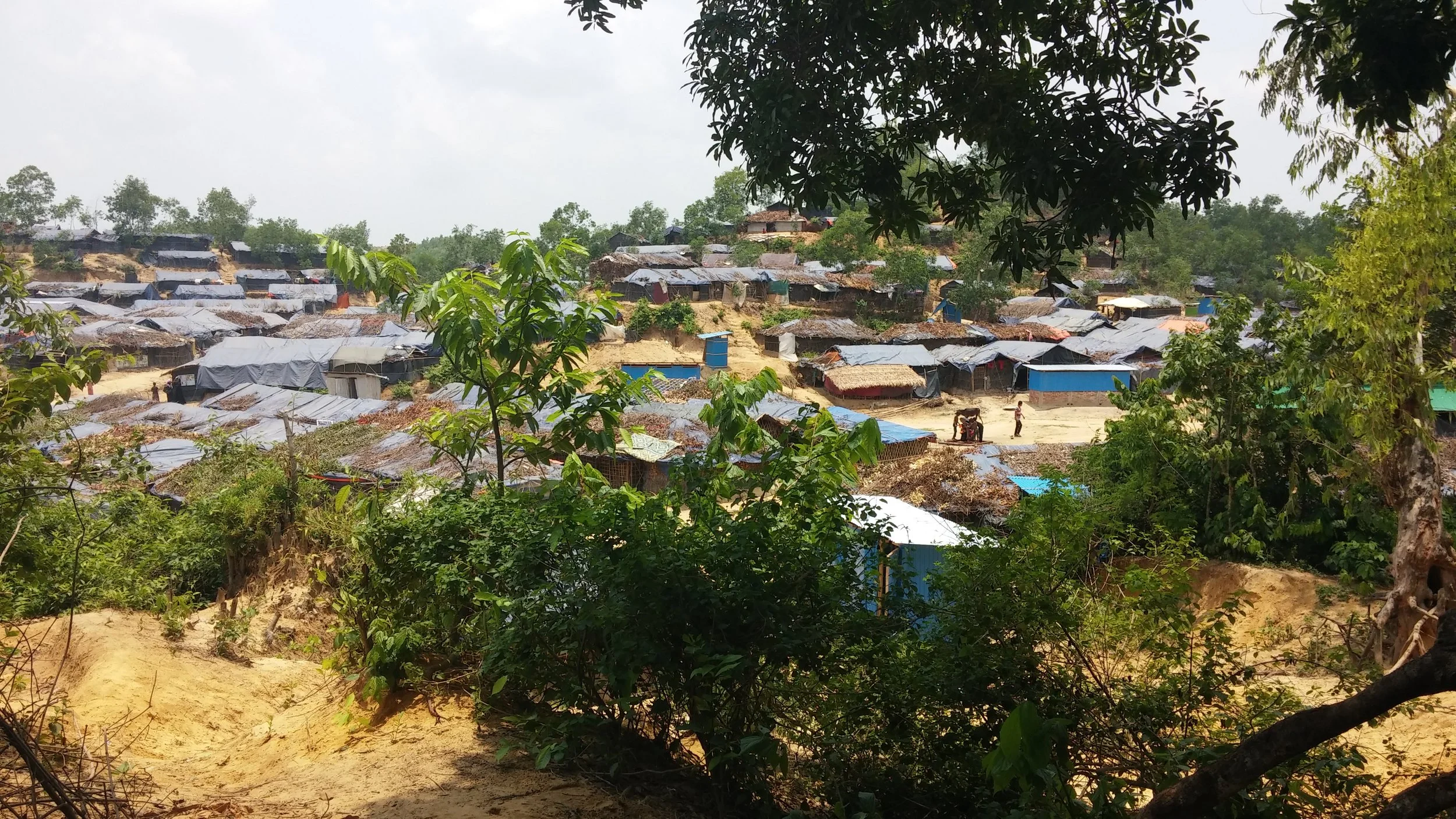 Reluctant Refuge: Rohingya Safe but not Secure in Bangladesh