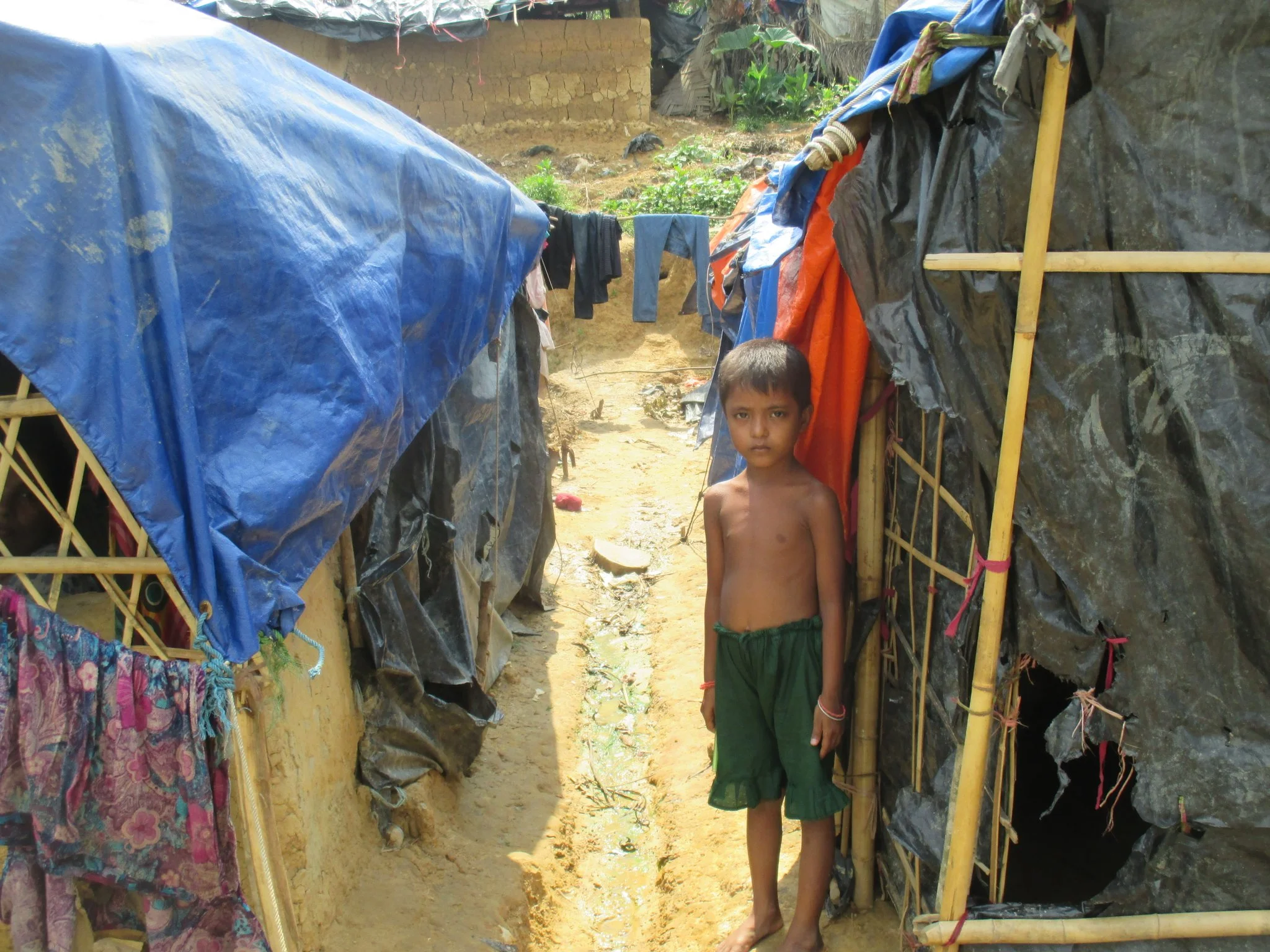 Sounding the Alarm on the Rohingya Crisis