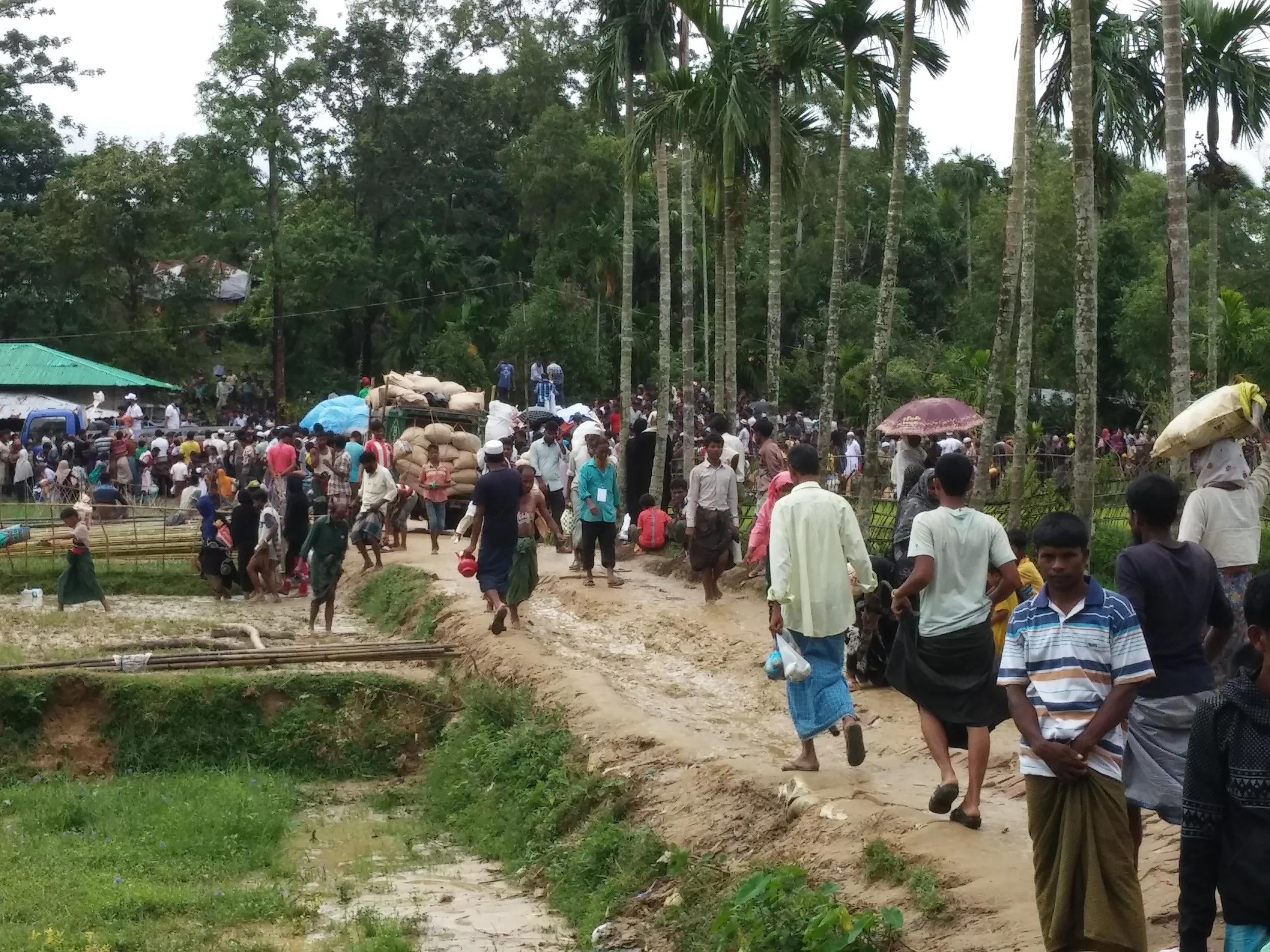 Bearing Witness to the Rohingya Crisis