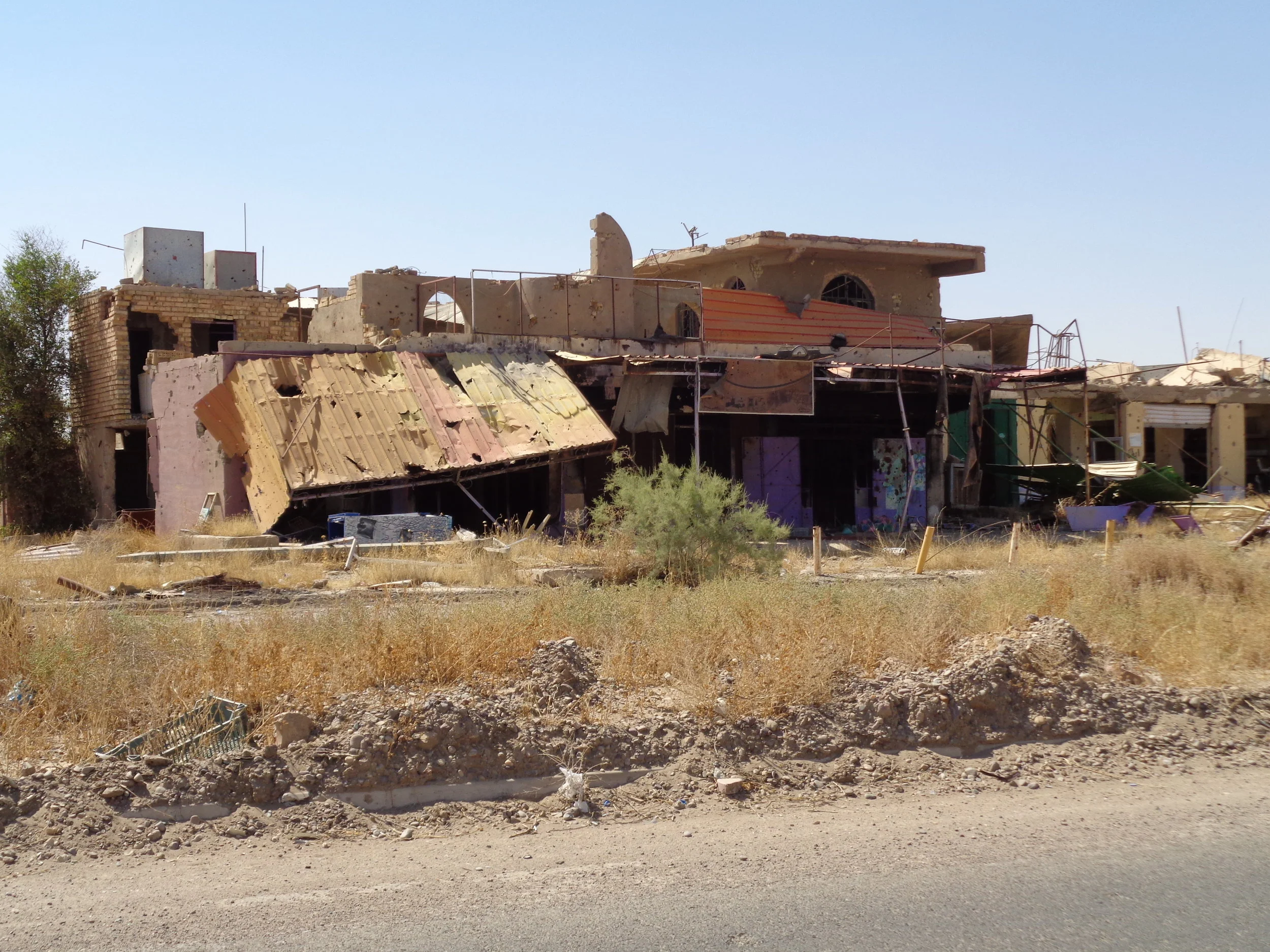 Too Much Too Soon: Displaced Iraqis and the Push to Return Home