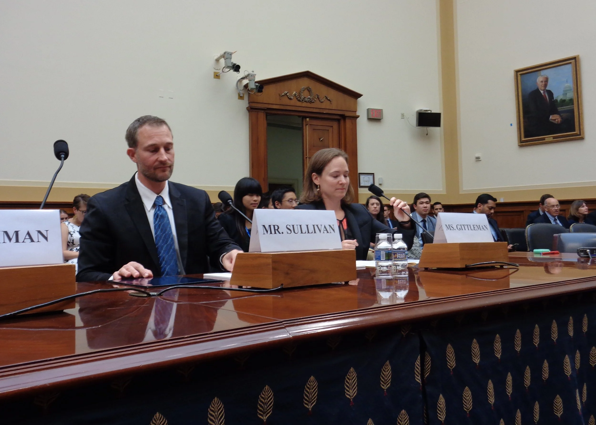 Testimony by Daniel Sullivan on Ethnic Cleansing in Myanmar