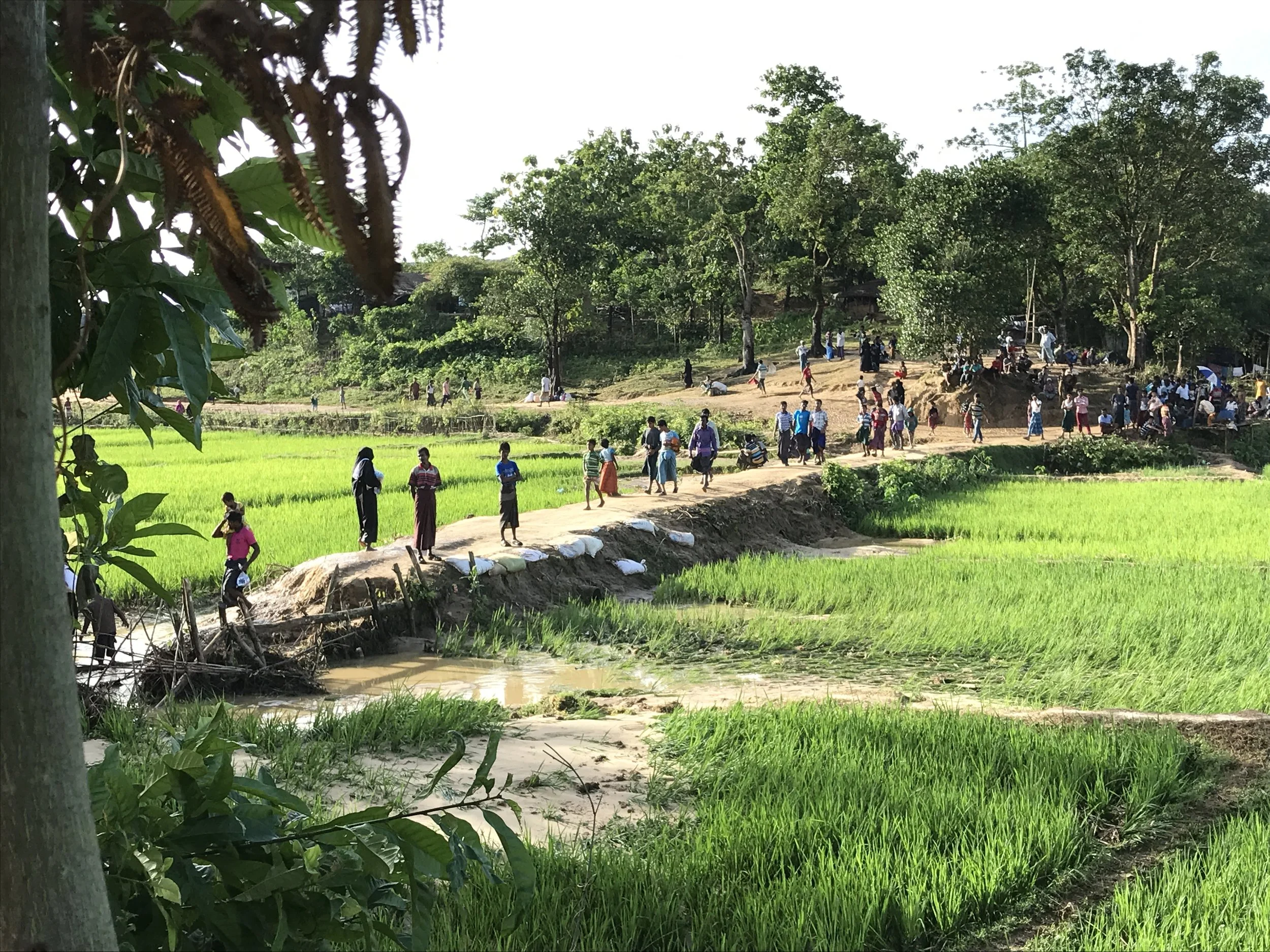 Victims’ Rights: Human Rights Abuses and the Persecution of Minorities in Northern Myanmar 
