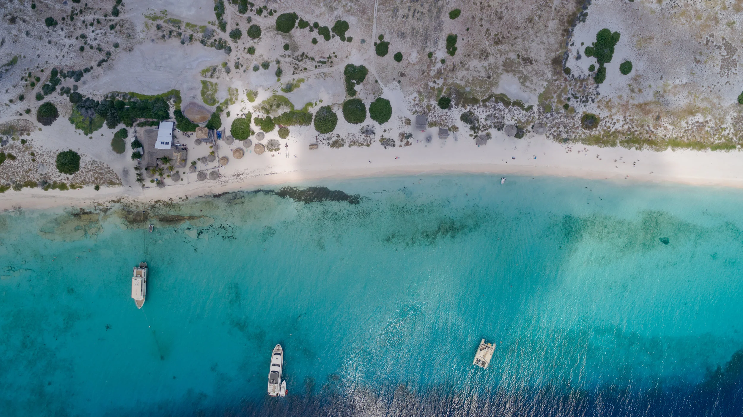 Hidden and Afraid—Venezuelans Without Status or Protection on the Dutch Caribbean Island of Curaçao