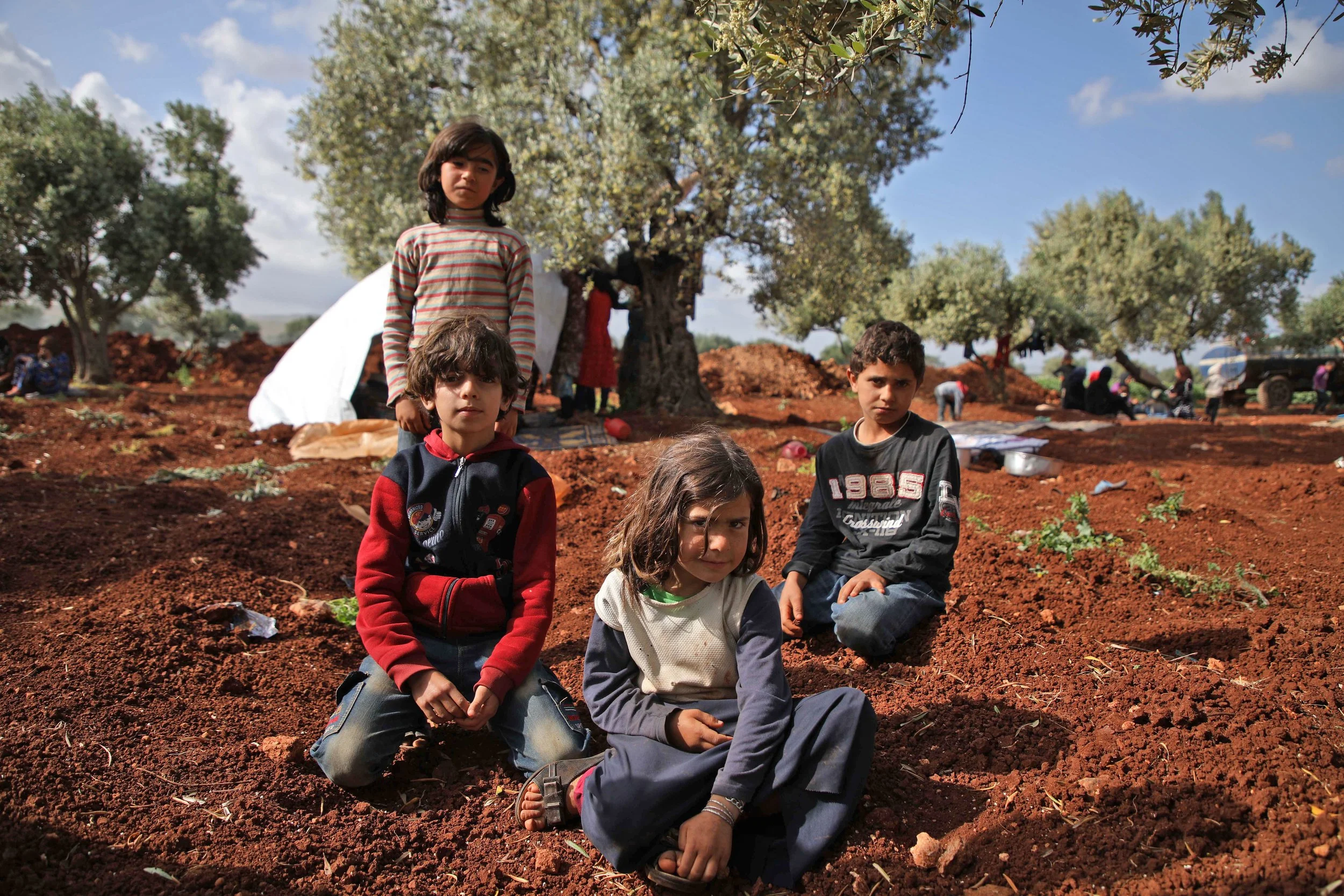 Displaced Syrian children living in an olive grove in Atme, Syria. Photo Credit: AAREF WATAD/AFP/Getty Images.