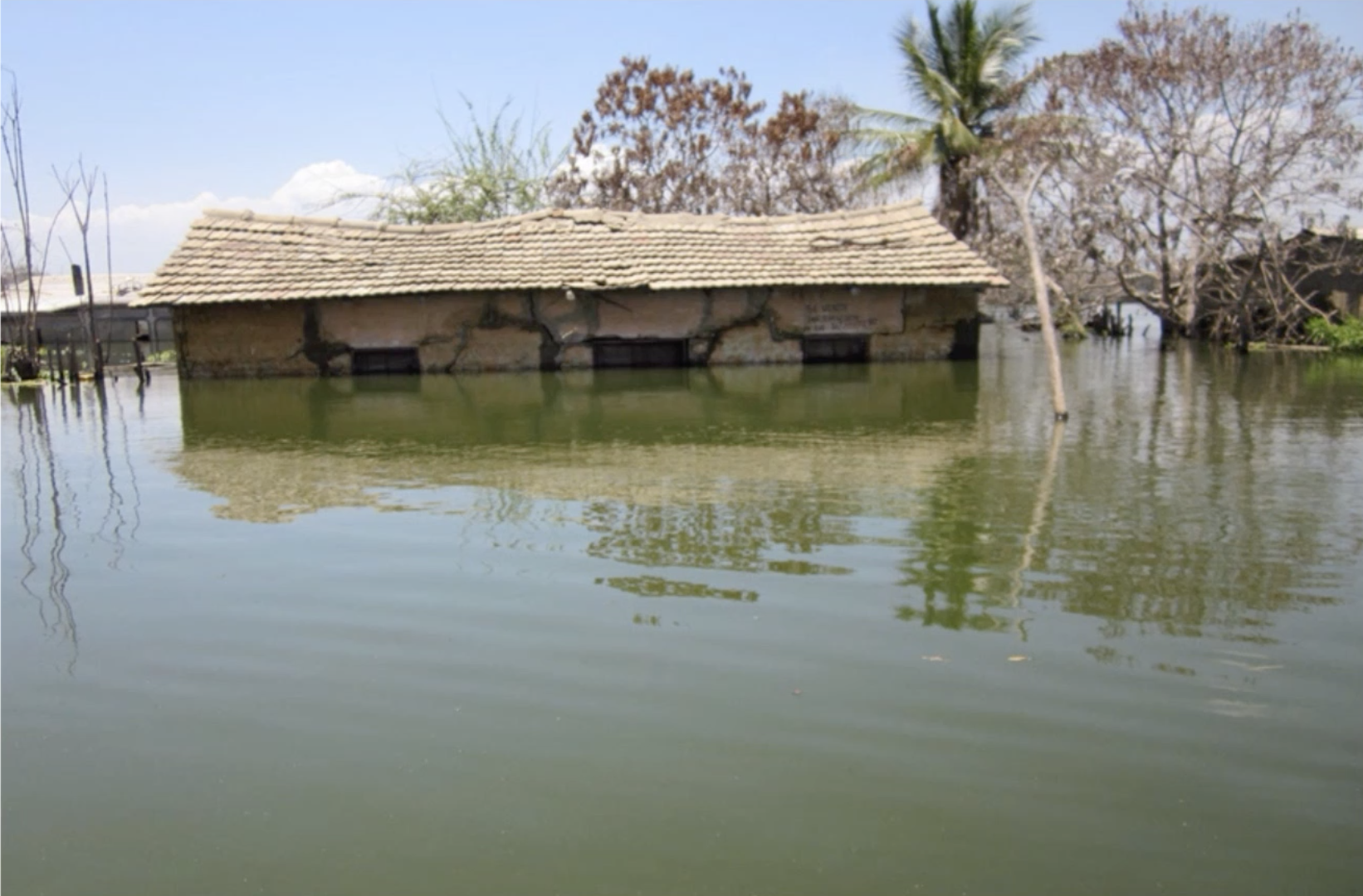 New Zealand’s ‘Climate Refugee’ Visas: Lessons for the Rest of the World