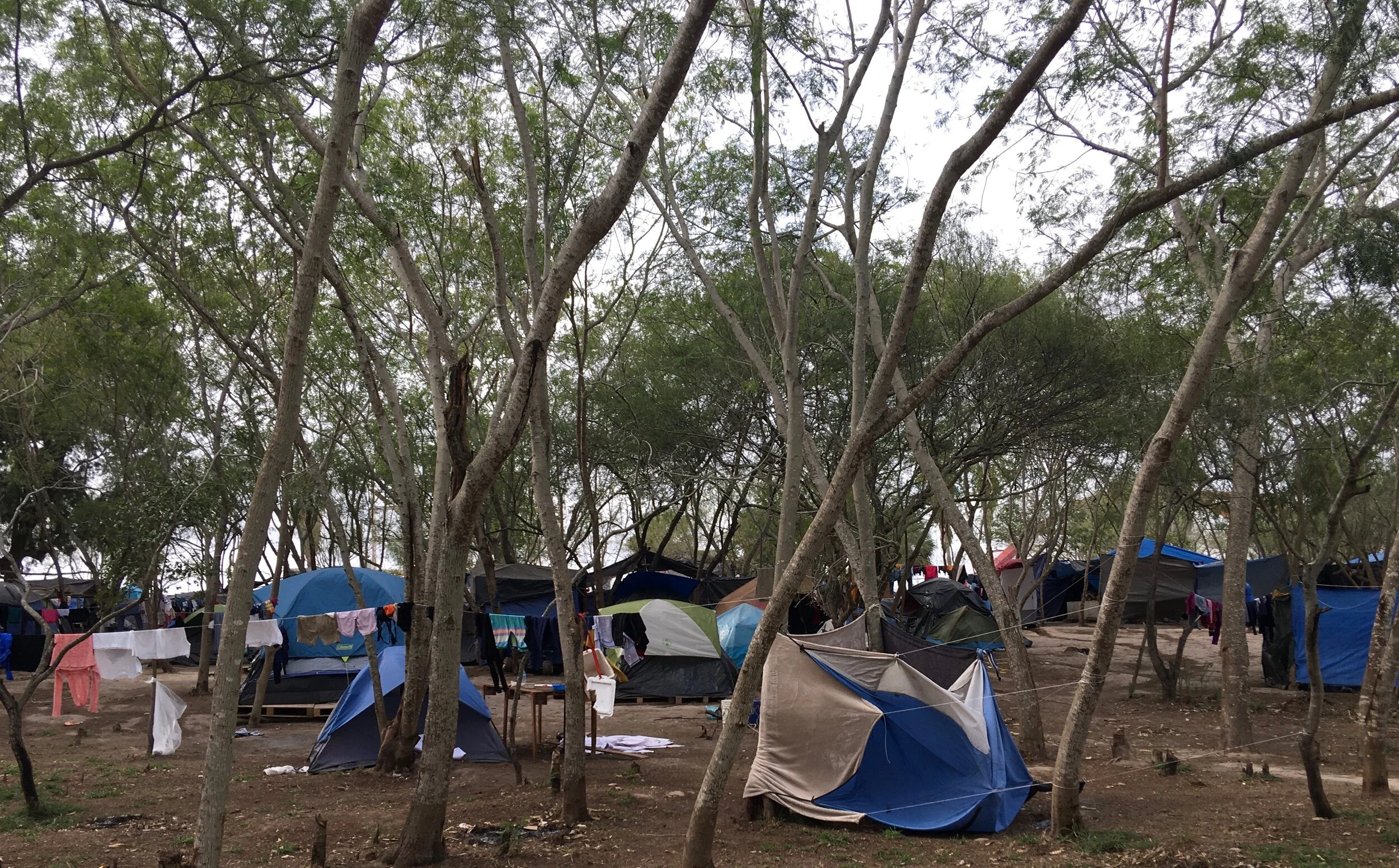 Tents in the Matamoros encampment. Photo credit: Yael Schacher, Refugees International.