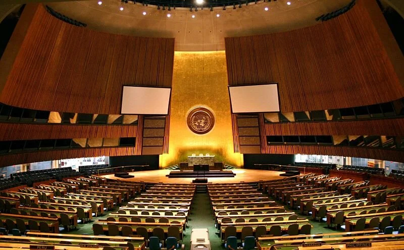 Making UNGA Matter in the Age of Pandemic