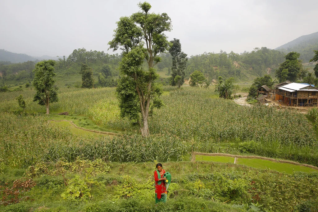 Women on The Move: Climate-Driven Migration
