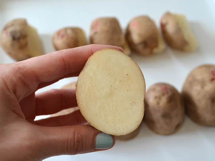 PotatoPrint_5.jpg