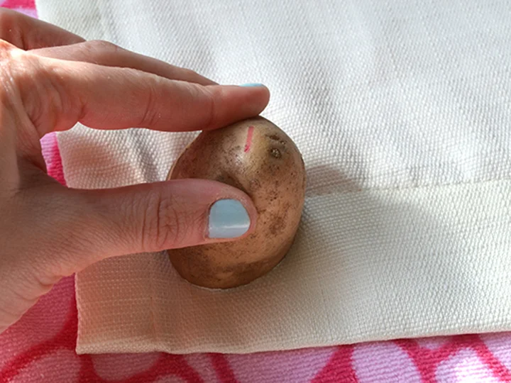 PotatoPrint_8.jpg
