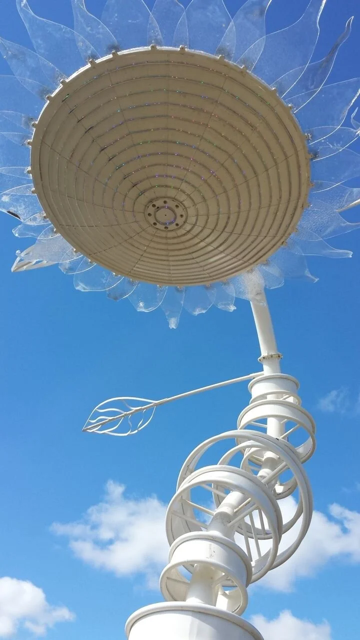 H.E. sunflower day head.jpg