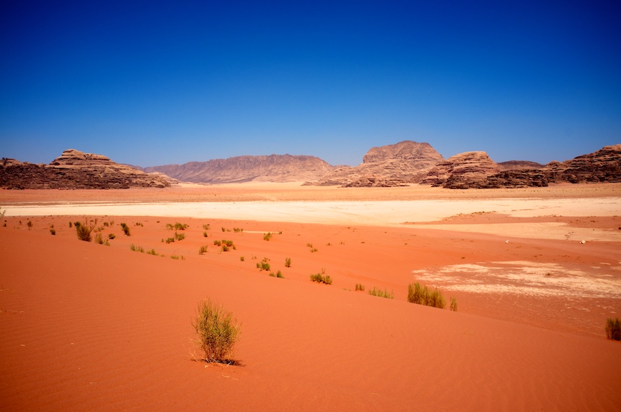 DSCF5750.jpg