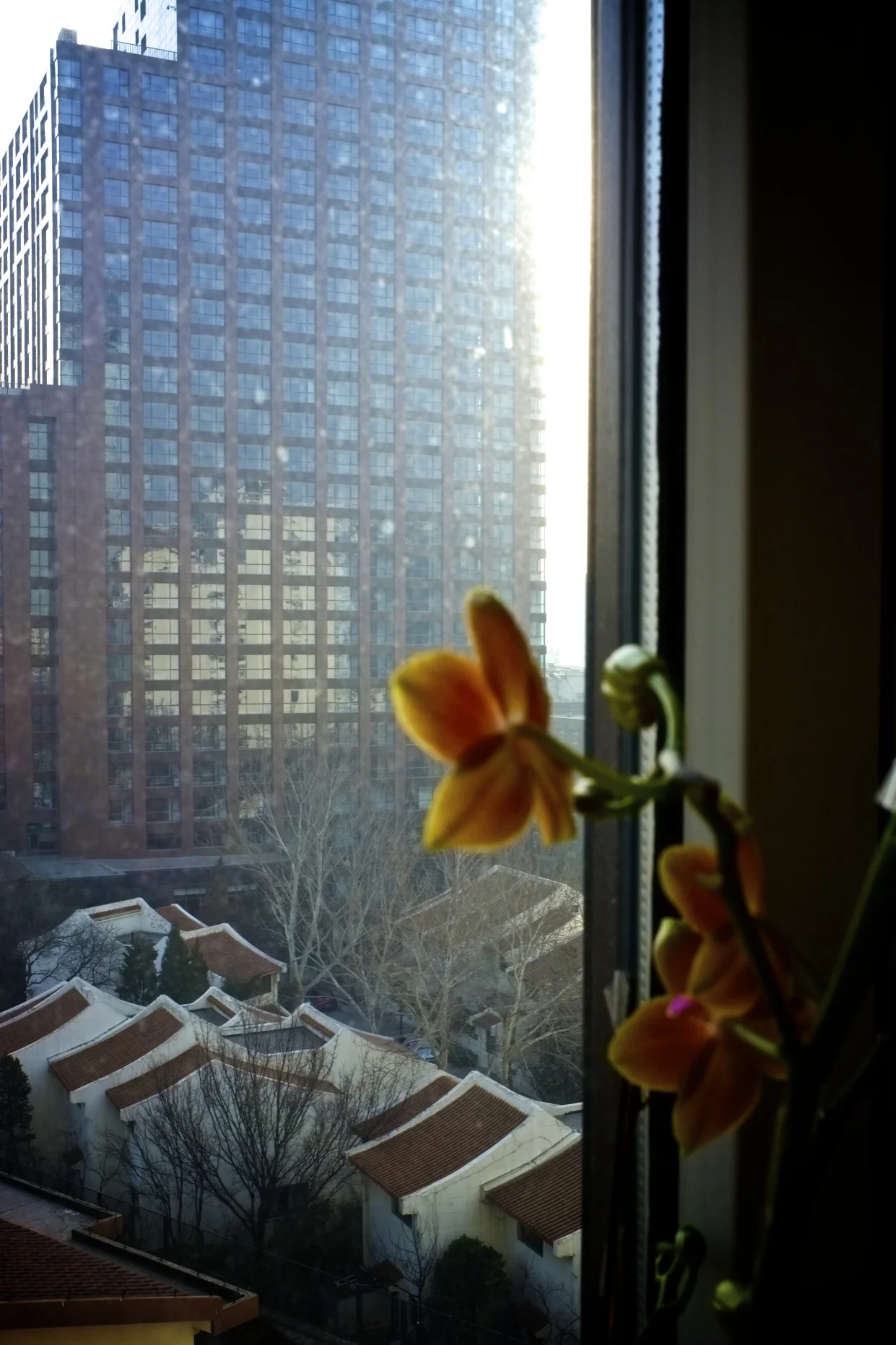 20130303 Smiling at the grim Beijing.jpg