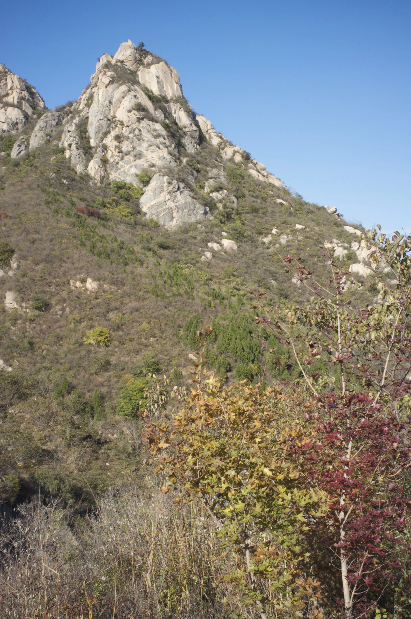 DSCF9627.jpg