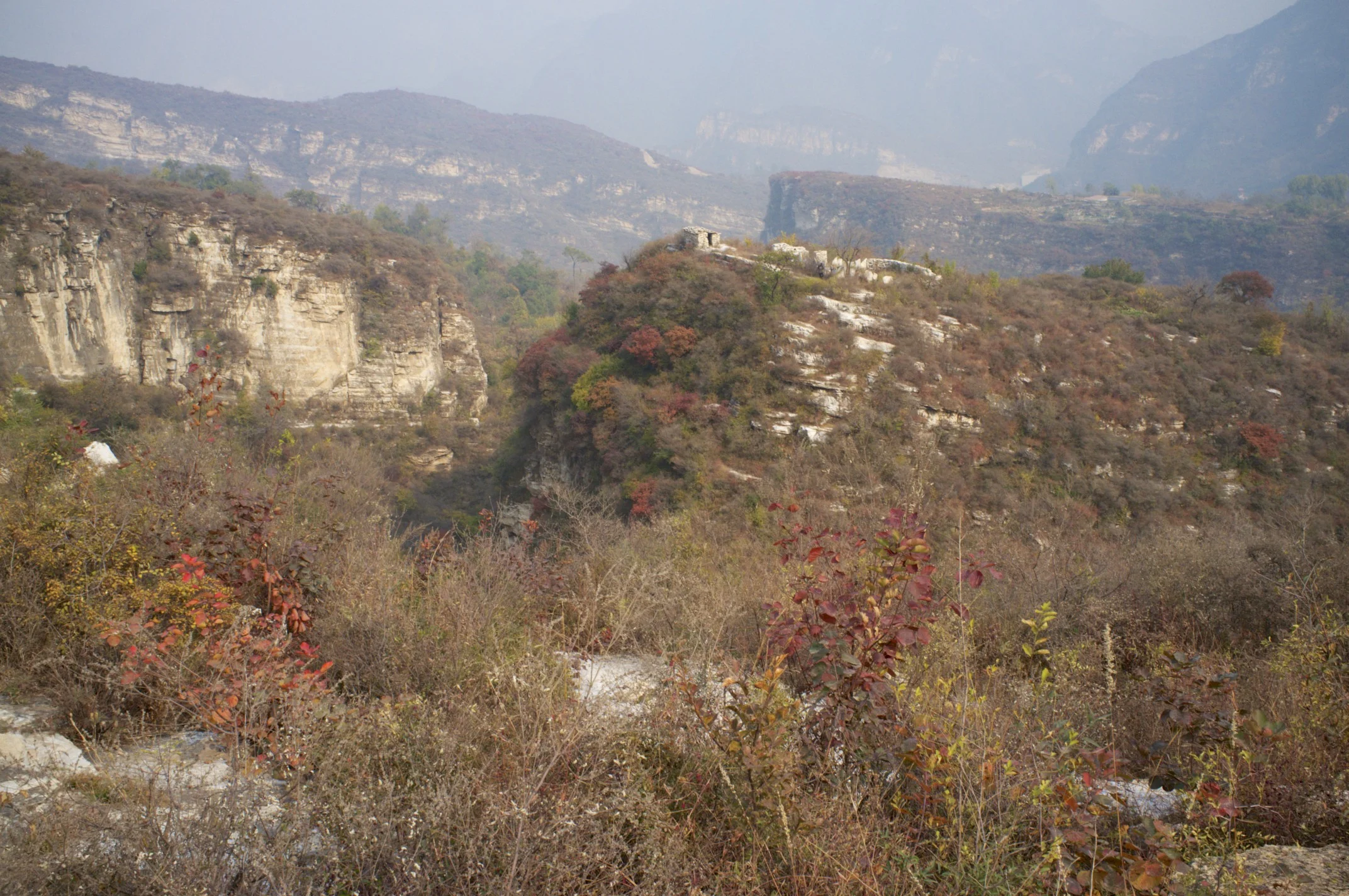 DSCF9712.jpg