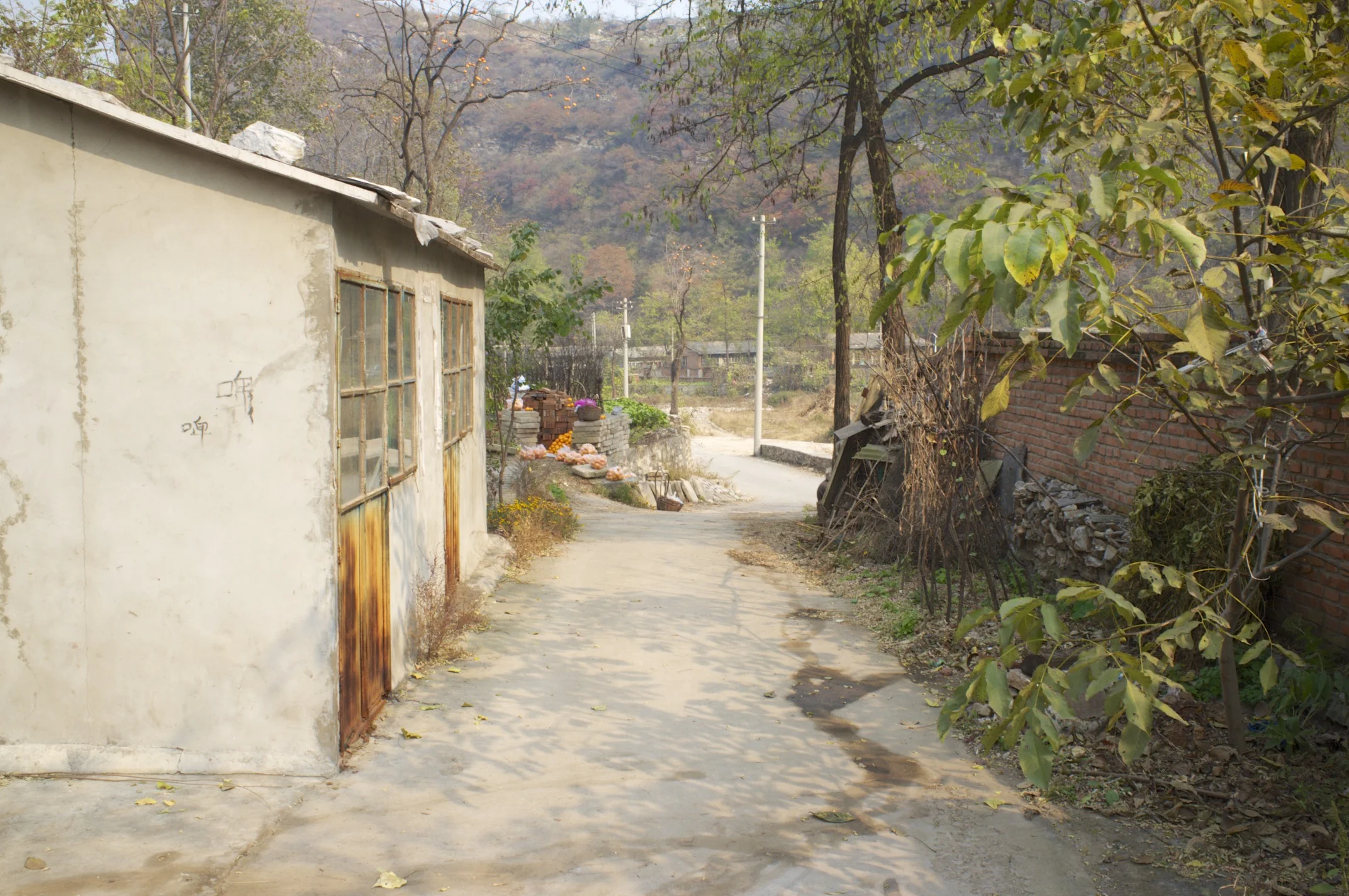 DSCF9706.jpg