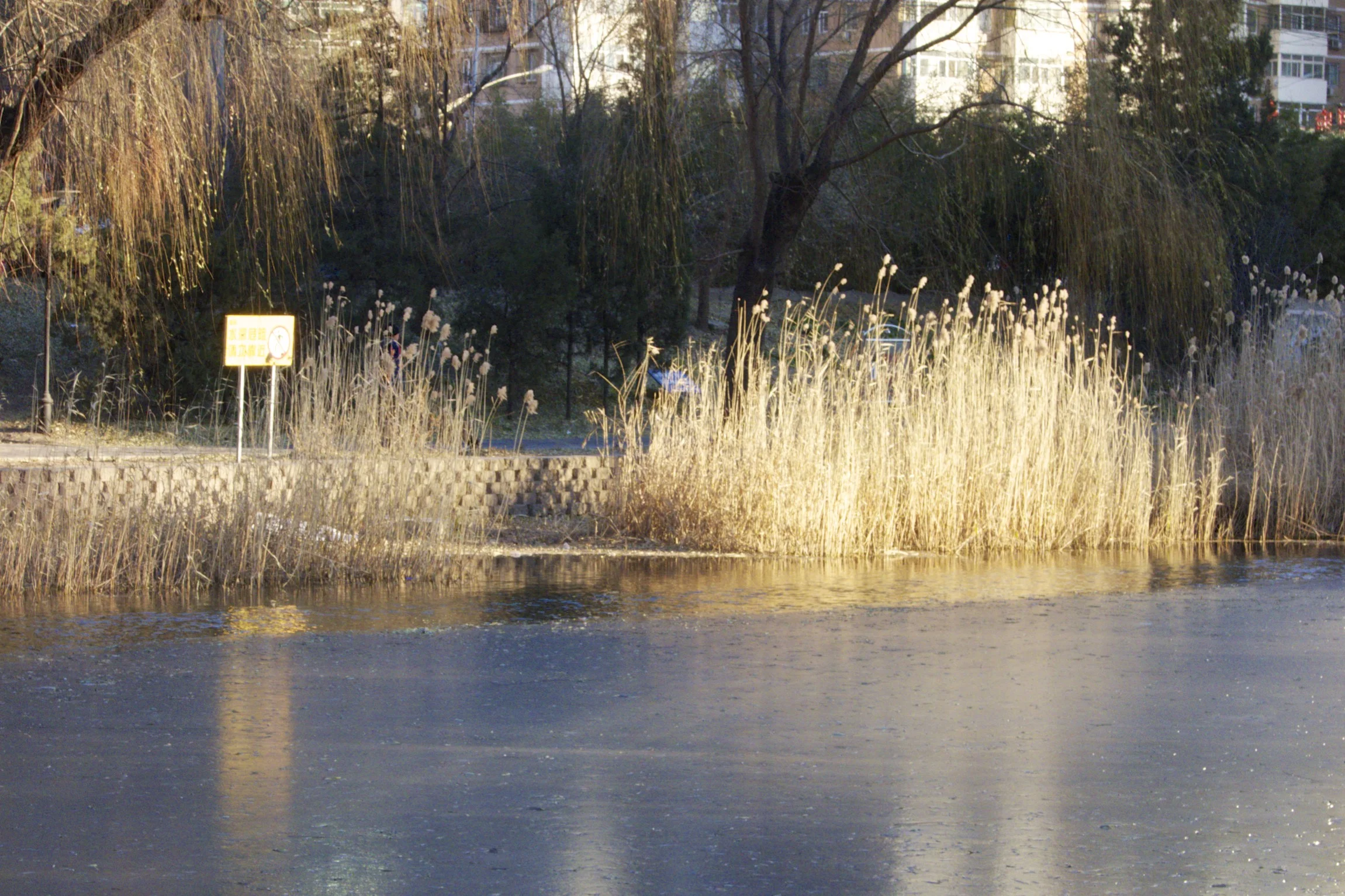 Thin ice on the Sanlitun canals.