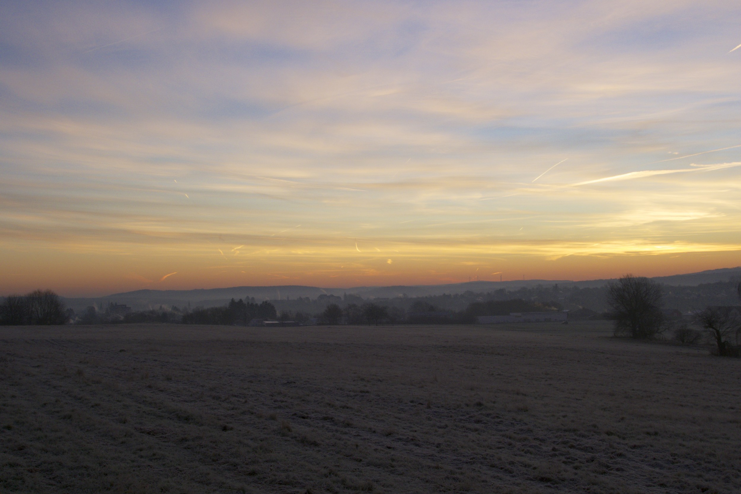 DSC00129.jpg